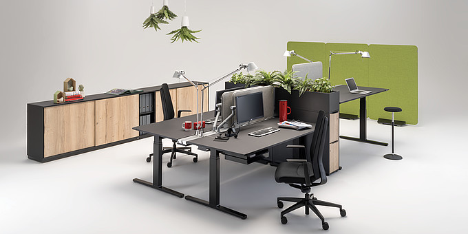 Pedacta Büroeinrichtung Wini.Mein Büro